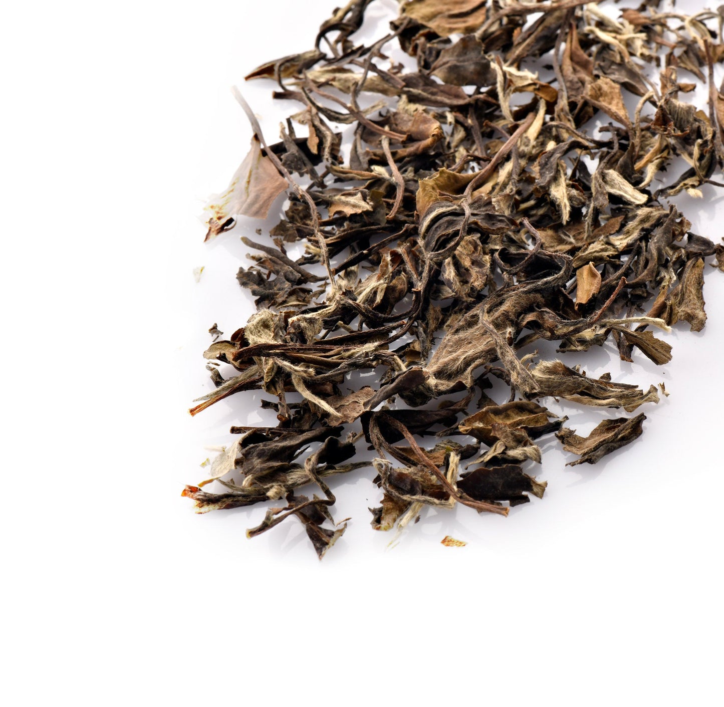 10 years aged white tea